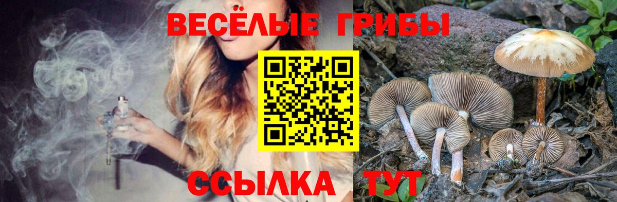 Псилоцибиновые грибы Magic Shrooms  Вход с VPN  Лосино-Петровский 